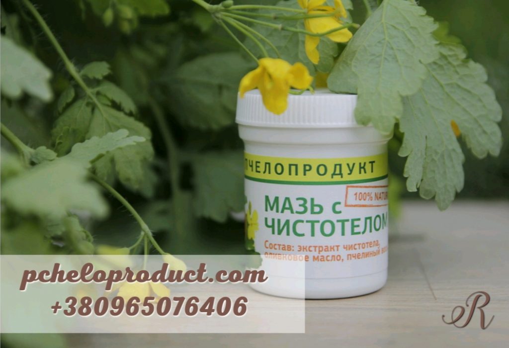 Мазь з чистотілом, 50 мл – Бджолопродукт || Health honey